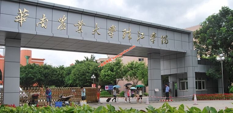 广东2b大学