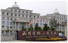 武汉生物工程学院2020年录取分数线（附2017