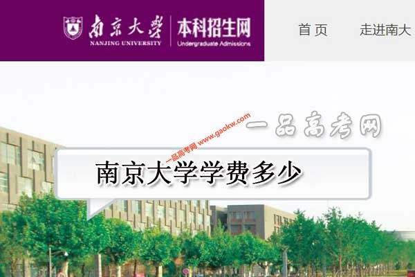 南京大学学费多少