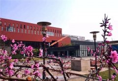 2020年北京高考招生录取，北京第二外国语学院中瑞酒店管理学院设