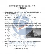 2020年湖北省高考文科数学试卷及参考答案（官方公布真题）